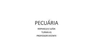 PECUÁRIA
RAPHAELA E LUÍSA
TURMA:41
PROFESSOR:VICENTE
 