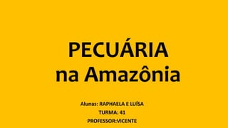 PECUÁRIA
na Amazônia
Alunas: RAPHAELA E LUÍSA
TURMA: 41
PROFESSOR:VICENTE
 