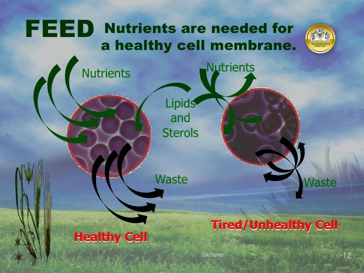 Rapha wellness, health awareness complete