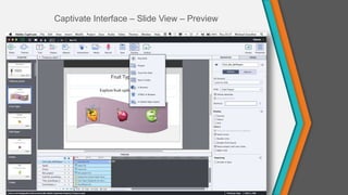 Captivate Interface – Slide View – Preview
 