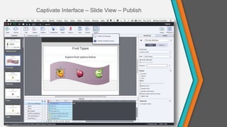Captivate Interface – Slide View – Publish
 