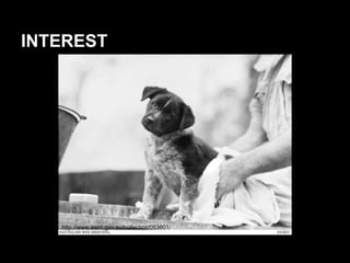 INTEREST
http://www.awm.gov.au/collection/053601/
 