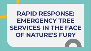 RAPID RESPONSE:
EMERGENCY TREE
SERVICES IN THE FACE
OF NATURE'S FURY
RAPID RESPONSE:
EMERGENCY TREE
SERVICES IN THE FACE
OF NATURE'S FURY
 