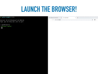 LAUNCH THE BROWSER!
 