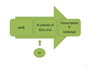 Rpob Rapid detection of Multi Drug Resistant Tuberculosis | PPTX