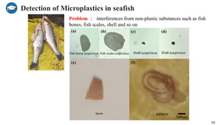 Shell Parasuite Rapid detection of microplastics in food and environment using ...