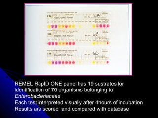 Rapid diagnosis of infectious diseases | PPT