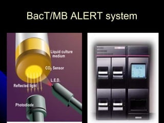 Rapid diagnosis of infectious diseases | PPT