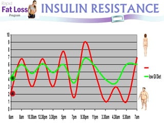 Rapid Fat Loss   Program 