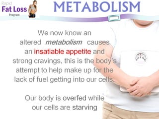 Rapid Fat Loss   Program 