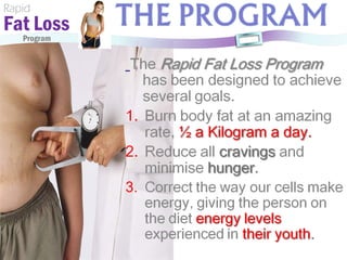 Rapid Fat Loss   Program 