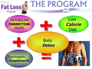 Rapid Fat Loss   Program METABOLISM CORRECTION   DROPS  Low  Calorie Diet  Thermogenic Supplements  Body Detox 