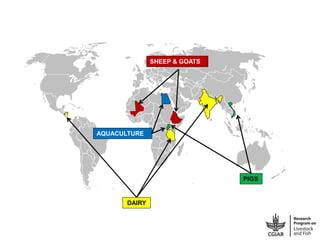 Rapid integrated assessment of food safety and nutrition: Context
