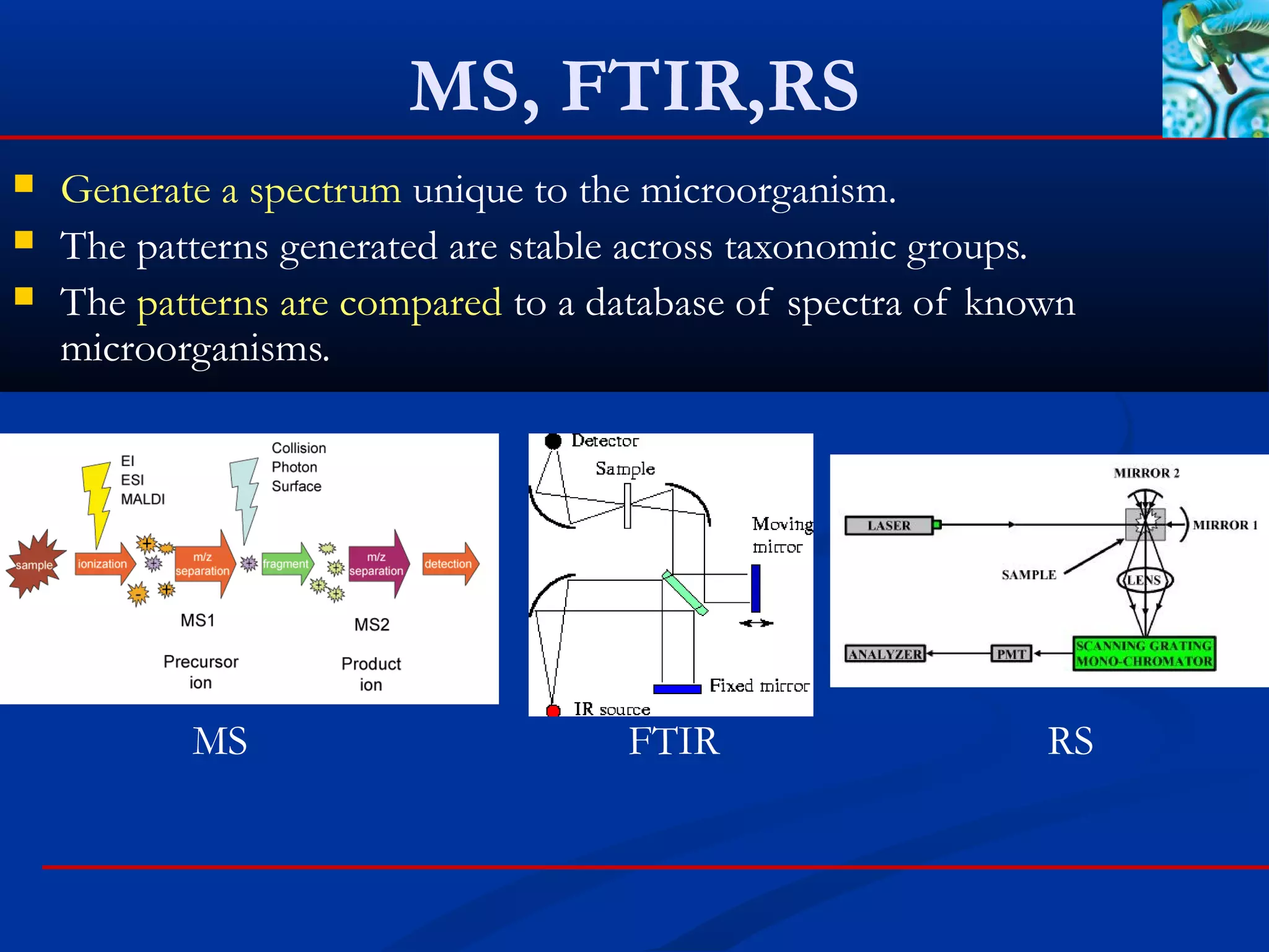 MS, FTIR,RS
 Generate a spectrum unique to the microorganism.
 The patterns generated are stable across taxonomic groups.
 The patterns are compared to a database of spectra of known
microorganisms.
MS FTIR RS
 