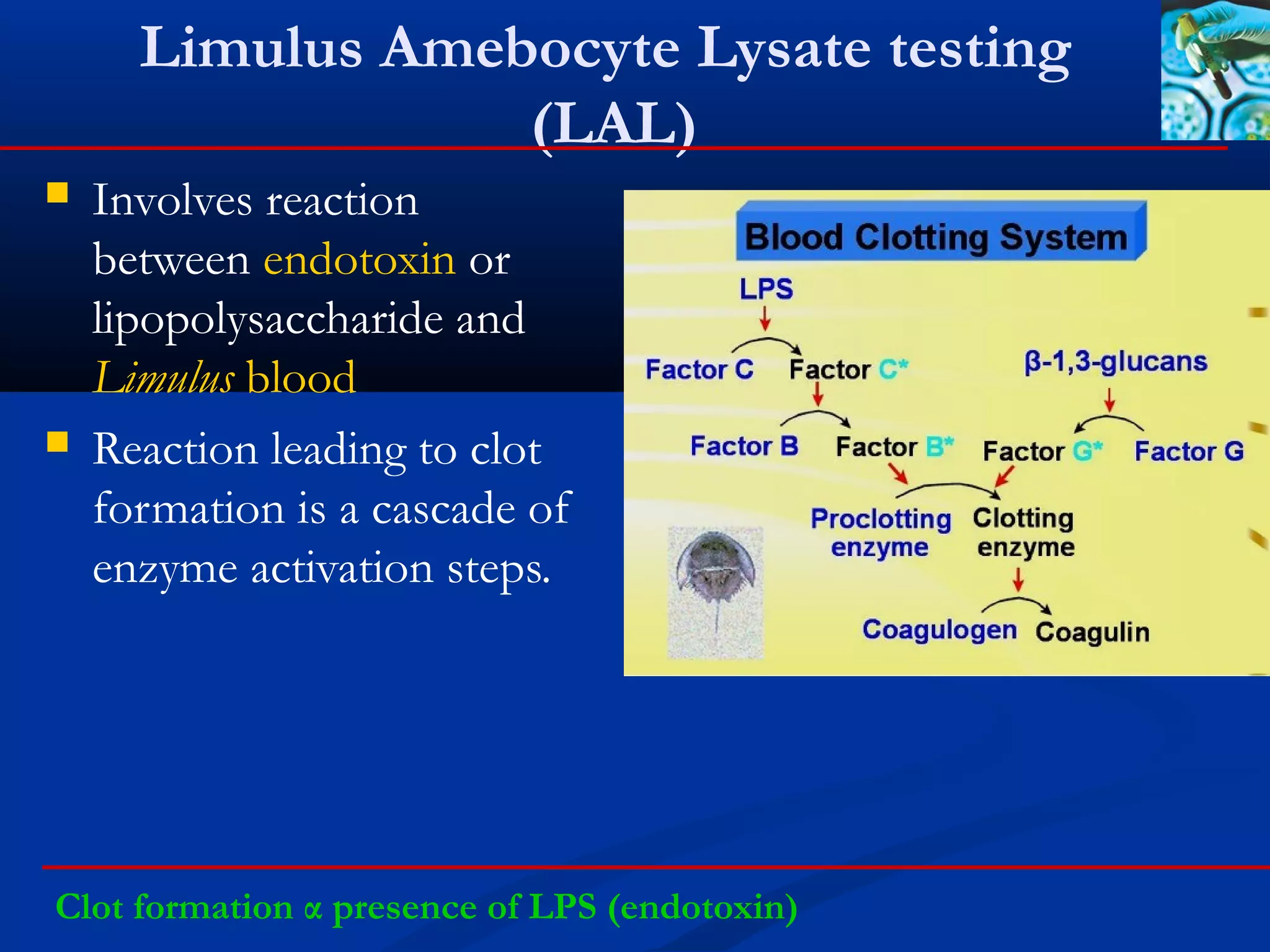 Limulus Amebocyte Lysate testing
(LAL)
 Involves reaction
between endotoxin or
lipopolysaccharide and
Limulus blood
 Reaction leading to clot
formation is a cascade of
enzyme activation steps.
Clot formation α presence of LPS (endotoxin)
 