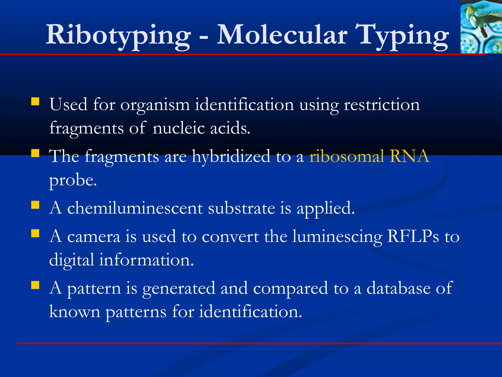 Ribotyping - Molecular Typing
 Used for organism identification using restriction
fragments of nucleic acids.
 The fragments are hybridized to a ribosomal RNA
probe.
 A chemiluminescent substrate is applied.
 A camera is used to convert the luminescing RFLPs to
digital information.
 A pattern is generated and compared to a database of
known patterns for identification.
 