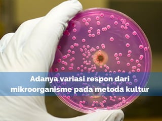 Rapid MIcrobiological Methods | PPT