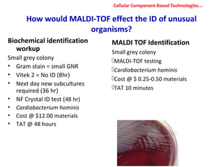 How would MALDI-TOF effect the ID of unusual
organisms?
Biochemical identification
workup
Small grey colony
• Gram stain = small GNR
• Vitek 2 = No ID (8hr)
• Next day new subcultures
required (36 hr)
• NF Crystal ID test (48 hr)
• Cardiobacterium hominis
• Cost @ $12.00 materials
• TAT @ 48 hours
MALDI TOF Identification
Small grey colony
MALDI-TOF testing
Cardiobacterium hominis
Cost @ $ 0.25-0.50 materials
TAT 10 minutes
Cellular Component-Based Technologies…
 