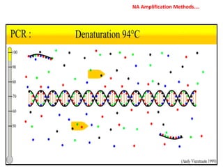 NA Amplification Methods….
 