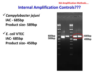 Internal Amplification Controls???
Campylobacter jejuni
IAC - 685bp
Product size- 589bp
E. coli VTEC
IAC- 685bp
Product size- 450bp
685bp
450bp
685bp
589bp
NA Amplification Methods….
 