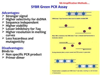 SYBR Green PCR Assay
Advantages:
 Stronger signal
 Higher selectivity for dsDNA
 Sequence independent
 Higher stability
 Lesser inhibitory for Taq
 Higher resolution in melting
curves
 Less hazardous and
mutagenicity
Disadvantages:
Binds to
 Non specific PCR product
 Primer dimer
NA Amplification Methods….
 
