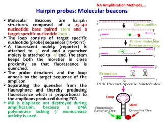 Loop
 Molecular Beacons are hairpin
structures composed of a 25–40
nucleotide base paired stem and a
target specific nucleotide loop .
 The loop consists of target specific
nucleotide (probe) sequences (15–30 nt)
 A fluorescent moiety (reporter) is
attached to 5’ end and a quencher
moiety is attached to 3’ end. The stem
keeps both the moieties in close
proximity so that fluorescence is
quenched.
 The probe denatures and the loop
anneals to the target sequence of the
amplicon
 Separating the quencher from the
fluorophore and thereby producing
fluorescence which is proportional to
the amplicons produced during PCR
 MB is displaced not destroyed during
amplification, because a DNA
polymerase lacking 5' exonuclease
activity is used.
Stem
Hairpin probes: Molecular beacons
Denaturation
Primer molecular
Beacon annealing
Extension
5’3’
Q
3’5’
5’
5’
3’
3’
5’
5’3’
3’5’
5’
3’5’
5’3’
5’
5’
5’
QR
5’
Denaturation
NA Amplification Methods….
 