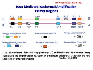 Loop Mediated Isothermal AmplificationLoop Mediated Isothermal Amplification
Primer RegionsPrimer Regions
( Parida et al., 2008)
Two loop primers - forward loop primer (FLP) and backward loop primer (BLP)
accelerate the amplification reaction by binding to additional sites that are not
accessed by internal primers
NA Amplification Methods….
 