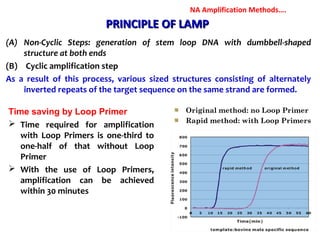PRINCIPLE OF LAMPPRINCIPLE OF LAMP
(A) Non-Cyclic Steps: generation of stem loop DNA with dumbbell-shaped
structure at both ends
(B) Cyclic amplification step
As a result of this process, various sized structures consisting of alternately
inverted repeats of the target sequence on the same strand are formed.
Original method: no Loop Primer
Rapid method: with Loop Primers
Time saving by Loop Primer
 Time required for amplification
with Loop Primers is one-third to
one-half of that without Loop
Primer
 With the use of Loop Primers,
amplification can be achieved
within 30 minutes
NA Amplification Methods….
 