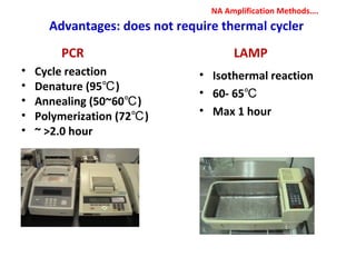 Advantages: does not require thermal cycler
• Cycle reaction
• Denature (95 )℃
• Annealing (50~60 )℃
• Polymerization (72 )℃
• ~ >2.0 hour
• Isothermal reaction
• 60- 65℃
• Max 1 hour
PCR LAMP
NA Amplification Methods….
 