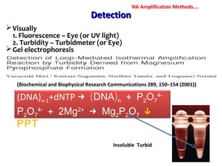 DetectionDetection
Visually
1. Fluorescence – Eye (or UV light)
2. Turbidity – Turbidmeter (or Eye)
Gel electrophoresis
(DNA)n-1+dNTP → ( )DNA n + P2O7
-4
P2O7
-4
+ 2Mg +2
→ Mg2P2O7 ↓
PPT
{Biochemical and Biophysical Research Communications 289, 150–154 (2001)}
Insoluble Turbid
NA Amplification Methods….
 