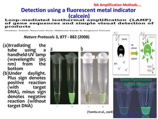 Nature Protocols 3, 877 - 882 (2008)
Detection using a fluorescent metal indicator
(calcein)
Green fluorescence
by free calcein
(a)Irradiating the
tube using a
handheld-UV lamp
(wavelength: 365
nm) from the
bottom
(b)Under daylight.
Plus sign denotes
positive reaction
(with target
DNA), minus sign
denotes negative
reaction (without
target DNA)
(Tomita et al., 2008)
NA Amplification Methods….
 