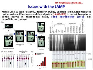 Marco Lalle, Alessia Possenti, Jitender P. Dubey, Edoardo Pozio, Loop mediated
isothermal amplification-lateral-flow dipstick (LAMP-LFD) to detect Toxoplasma
gondii oocyst in ready-to-eat salad, Food Microbiology (2018), doi:
10.1016/j.fm.2017.10.001
Issues with the LAMP
NA Amplification Methods….
 