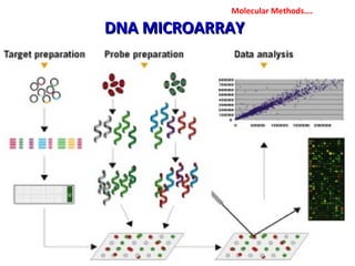 DNA MICROARRAYDNA MICROARRAY
Molecular Methods….
 