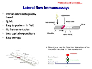 Lateral flow immunoassaysLateral flow immunoassays
• Immunochromatography
based
• Quick
• Easy to perform in field
• No instrumentation
• Low capital expenditure
• Easy storage
Protein Based Methods….
 
