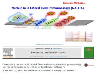 Nucleic Acid Lateral Flow Immunoassays (NALFIA)
Molecular Methods….
 