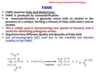 FAME
 FAME stand for Fatty Acid Methyl Ester.
 FAME is produced by transesterification.
 In transesterification, a glyceride reacts with an alcohol in the
presence of a catalyst, forming a mixture of fatty acids esters and an
alcohol.
 This is widely used in characterizing new species of bacteria, and is
useful for identifying pathogenic strains.
 Organisms have different, Quality and Quantity of Fatty Acid
 Gas chromatography (GC) used due to the volatility and thermal
stability of the FAME.
Cellular Component-Based Technologies…
 