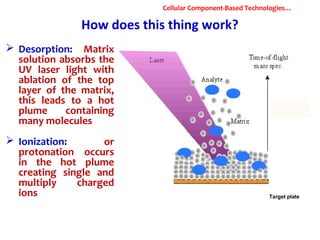 How does this thing work?
Target plate
 Desorption: Matrix
solution absorbs the
UV laser light with
ablation of the top
layer of the matrix,
this leads to a hot
plume containing
many molecules
 Ionization: or
protonation occurs
in the hot plume
creating single and
multiply charged
ions
Cellular Component-Based Technologies…
 