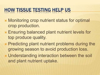 HOW TISSUE TESTING HELP US
 Monitoring crop nutrient status for optimal
crop production.
 Ensuring balanced plant nutrient levels for
top produce quality.
 Predicting plant nutrient problems during the
growing season to avoid production loss.
 Understanding interaction between the soil
and plant nutrient uptake.
 