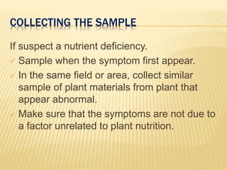 COLLECTING THE SAMPLE
If suspect a nutrient deficiency.
 Sample when the symptom first appear.
 In the same field or area, collect similar
sample of plant materials from plant that
appear abnormal.
 Make sure that the symptoms are not due to
a factor unrelated to plant nutrition.
 