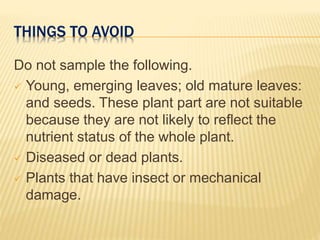 THINGS TO AVOID
Do not sample the following.
 Young, emerging leaves; old mature leaves:
and seeds. These plant part are not suitable
because they are not likely to reflect the
nutrient status of the whole plant.
 Diseased or dead plants.
 Plants that have insect or mechanical
damage.
 