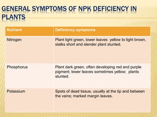 GENERAL SYMPTOMS OF NPK DEFICIENCY IN
PLANTS
Nutrient Deficiency symptoms
Nitrogen Plant light green, lower leaves yellow to light brown,
stalks short and slender plant stunted.
Phosphorus Plant dark green, often developing red and purple
pigment; lower leaves sometimes yellow; plants
stunted.
Potassium Spots of dead tissue, usually at the tip and between
the veins; marked margin leaves.
 