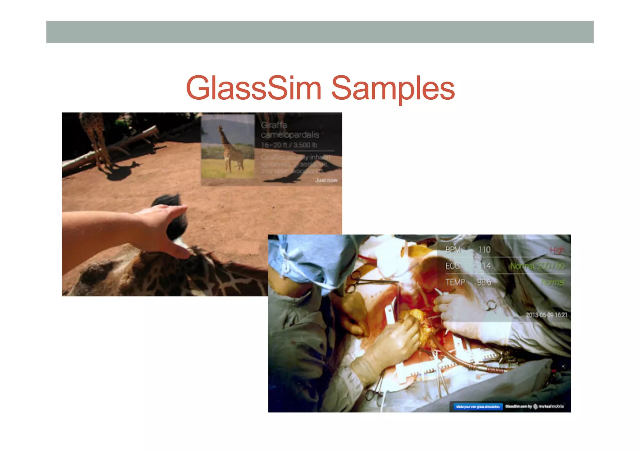 GlassSim Samples
 