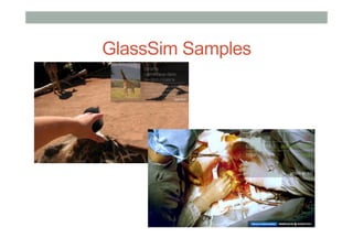 GlassSim Samples
 