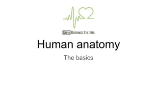 Human anatomy
The basics
 