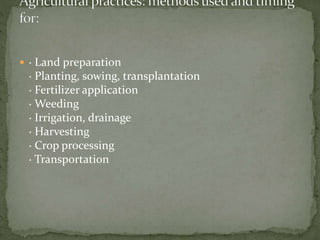 Rapid rural appraisal A Presentation By Mr Allah Dad khan | PPTX