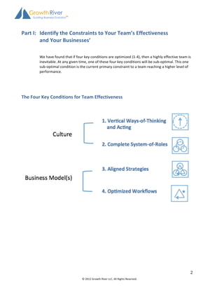 Rapid Team Performance Assessment | PDF