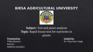 Subject : Soil and plant analysis
Topic: Rapid tissue test for nutrients in
plants
Presented by:
Vibha Kumari
Roll ID :
HORT011810023
Guided by:
Dr. Vijay kant singh
 