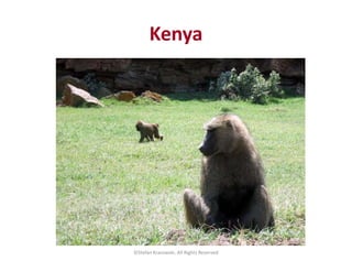 ©Stefan Krasowski, All Rights Reserved
Kenya
 
