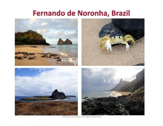 Fernando de Noronha, Brazil 
©Stefan Krasowski, All Rights Reserved 
 