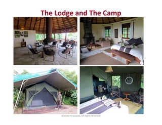 The Lodge and The Camp
©Stefan Krasowski, All Rights Reserved
 